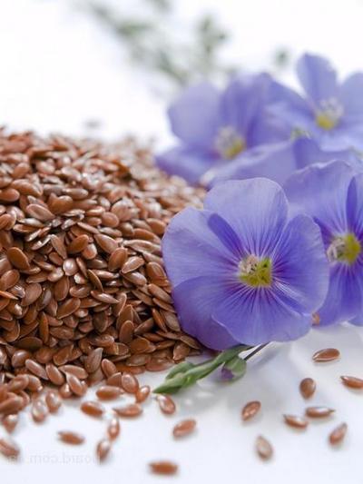 Decoction of flax slimming