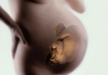 Perineal and vaginal walls